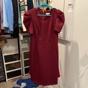 Calvin Klein Red Sheath Dress with Puff Cap Sleeves